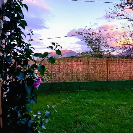 La Casa De Abajo * リャネス