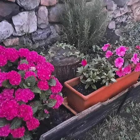 La Casa De Abajo Hébergement de vacances *